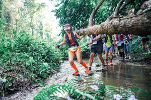 BIB: 
                            <button type="button" onclick="openModal(25464958)" class="btn btn-primary btn-sm float-right btn-popup" data-toggle="modal" data-target=".modal-high-quality">
                        <i class="fas fa-shopping-cart"></i> Add to Cart
                    </button>
                                            <button type="button" onclick="isThisMe(25464958, true)" class="btn btn-success btn-sm float-right btn-popup btn-isme hidden" data-toggle="tooltip" data-placement="bottom" title="นี่คือรูปของคุณใช่ไหม คลิกที่นี่เพื่อเอาเข้าอัลบั้ม">
                        <i class="fas fa-plus"></i> Add to album
                    </button>
                    <button type="button" onclick="isThisMe(25464958, false)" class="btn btn-warning btn-sm float-right btn-popup btn-isnotme hidden">
                        <i class="fas fa-ban"></i> Remove from album
                    </button>